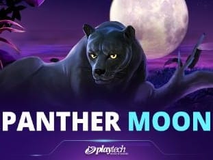 Panther Moon icon